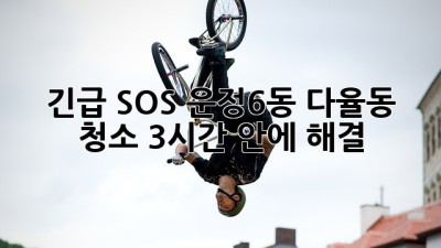 🚨 긴급 SOS! 운정6동 다율동 청소, 3시간 안에 해결? 🧹✨