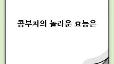 콤부차 완벽 가이드: 효능, 부작용, 만드는 법, 고르는 법까지!